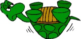 turtleback.jpg (9274 bytes)